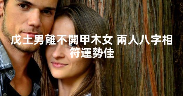 戊土男離不開甲木女 兩人八字相符運勢佳